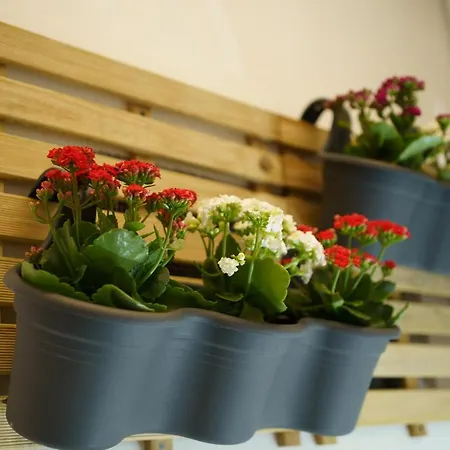 Casa Chicotta Palermo